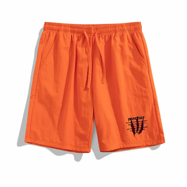 Pancoat clean fitLogo