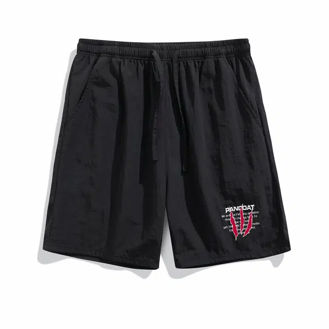 Pancoat clean fitLogo