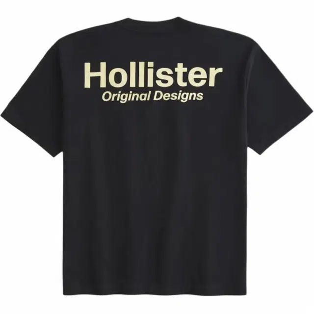 Hollister T