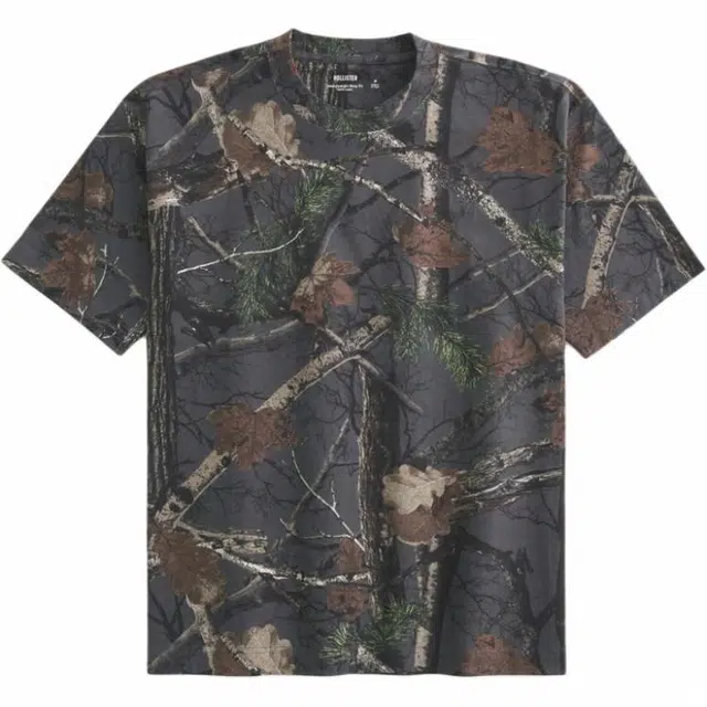 Hollister T