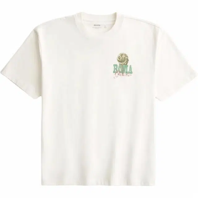 Hollister T