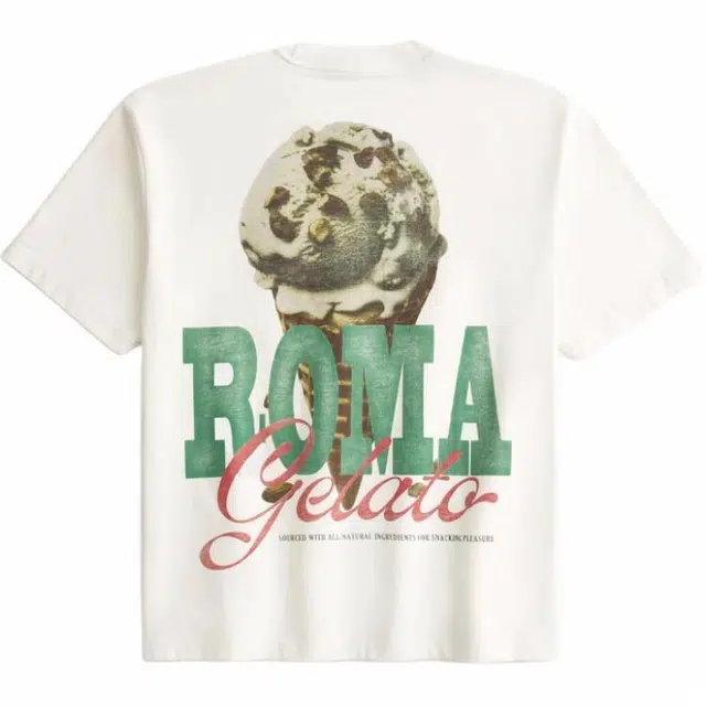 Hollister T