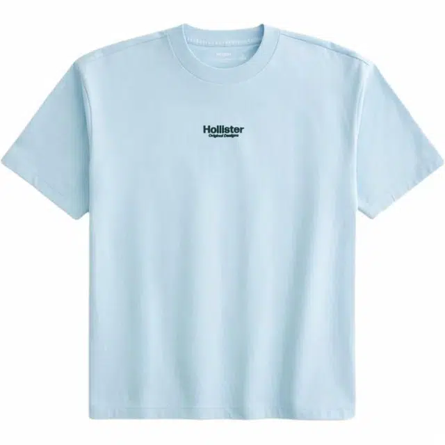 Hollister T