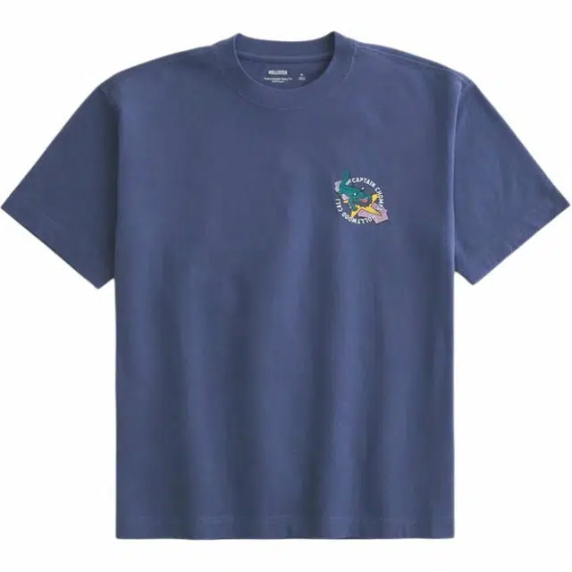 Hollister T
