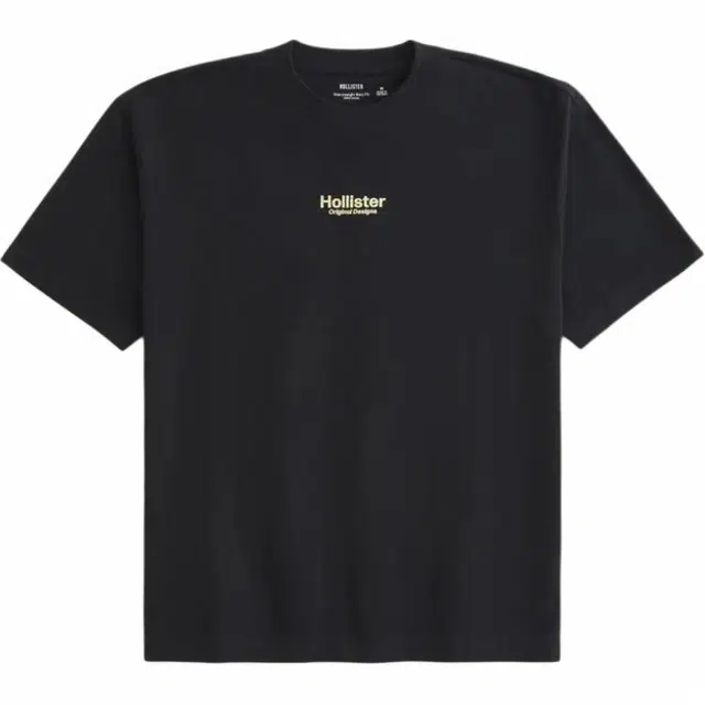 Hollister T