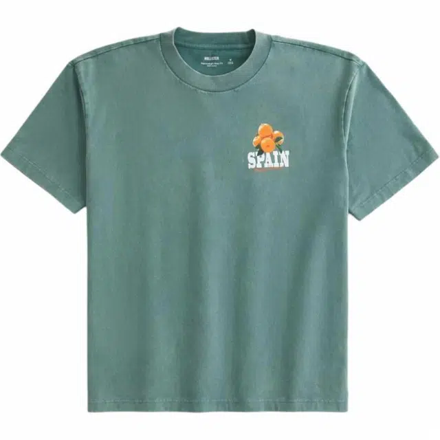 Hollister T