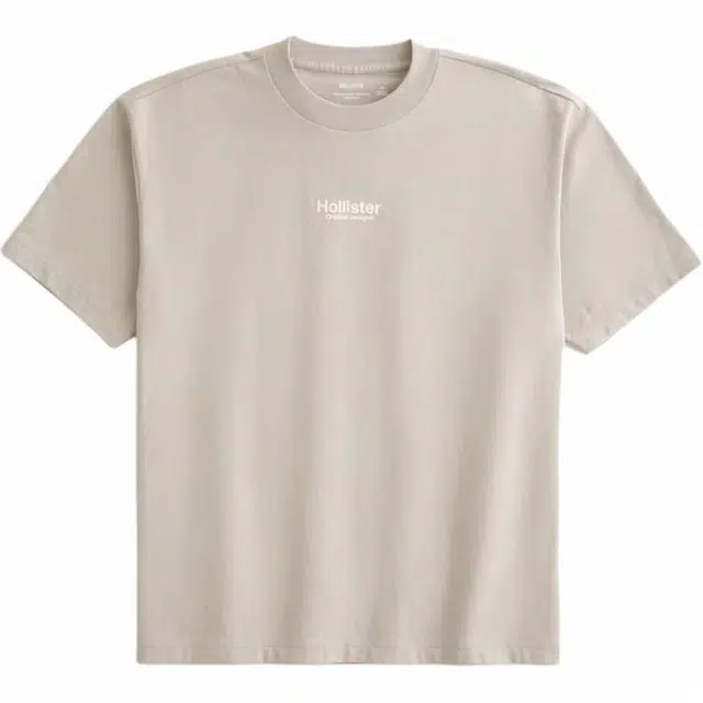 Hollister T