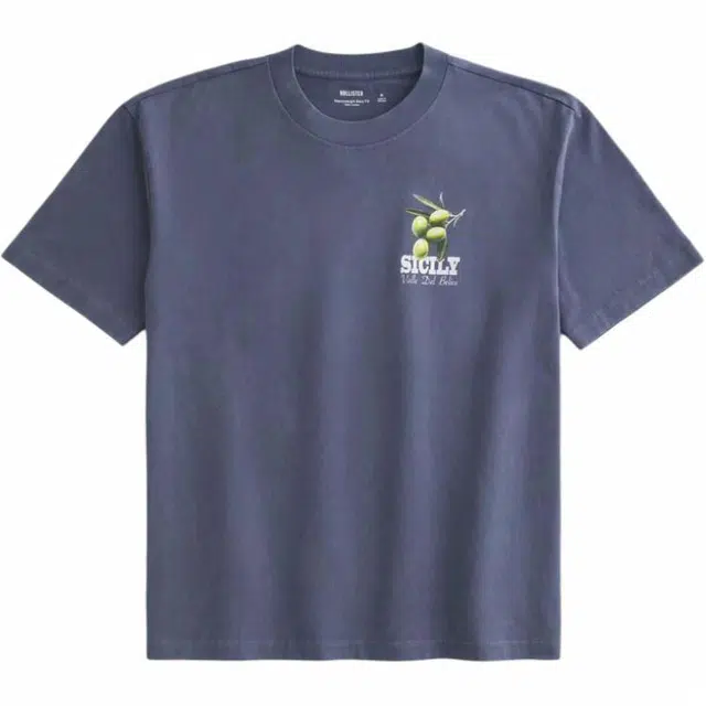Hollister T