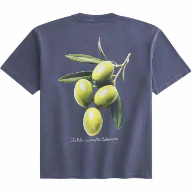 Hollister T