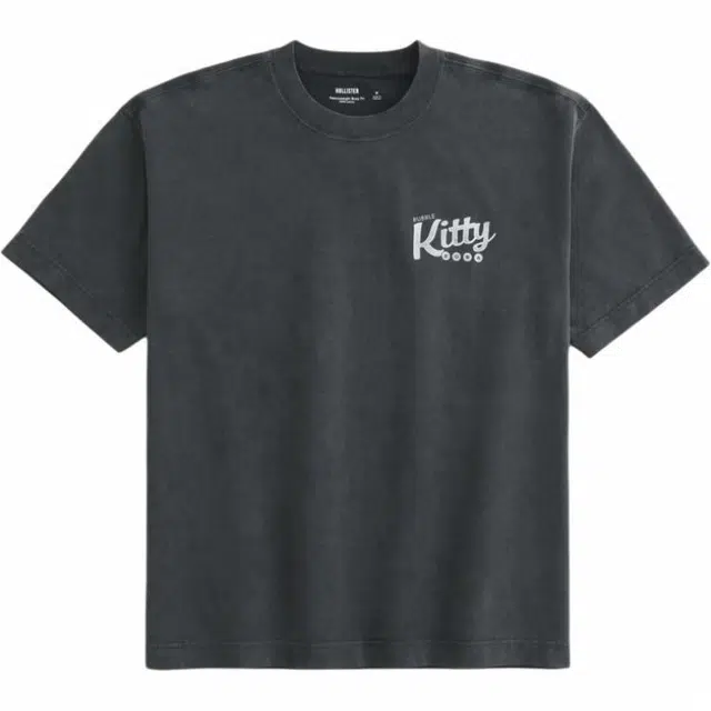 Hollister T