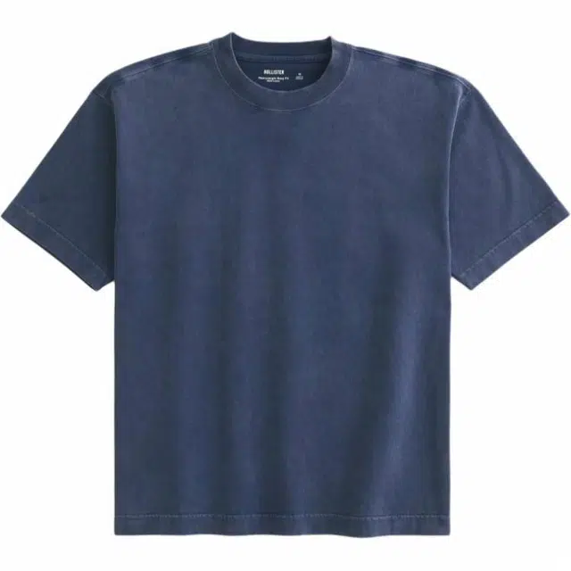 Hollister T