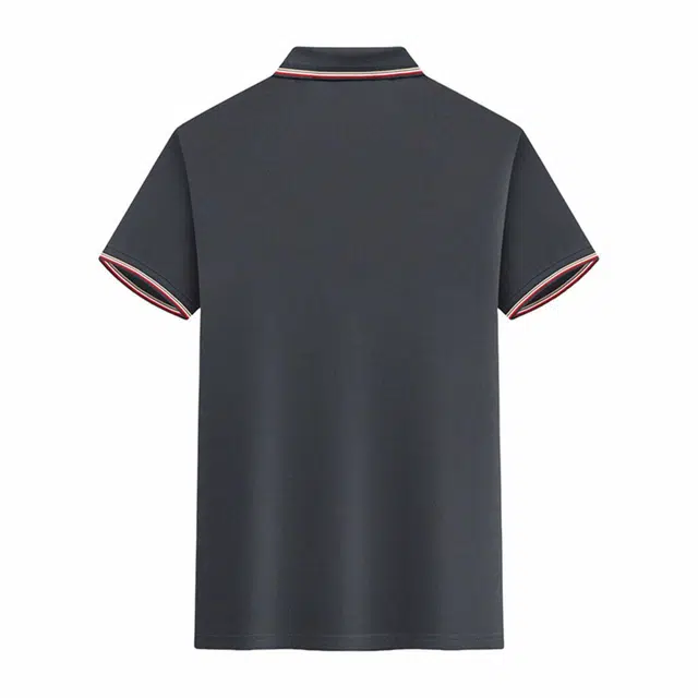 33TH LogoPolo
