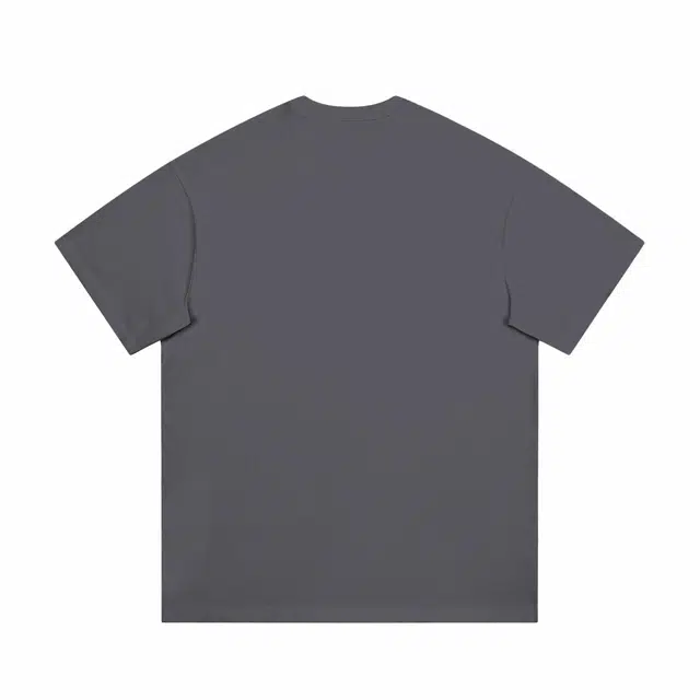 Evil lions T