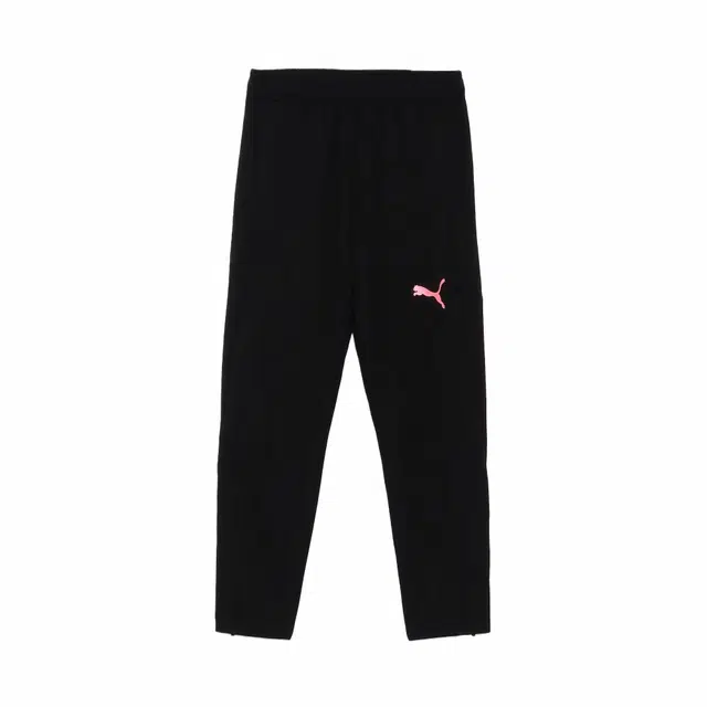 PUMA INDIVIDUALLIGA