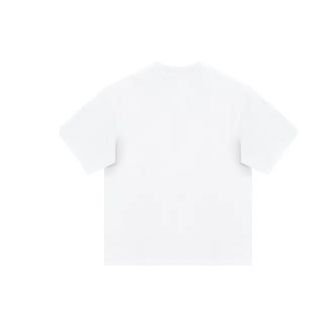 LISENPOK T