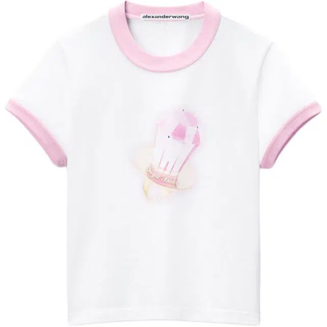 alexander wang FW24 T