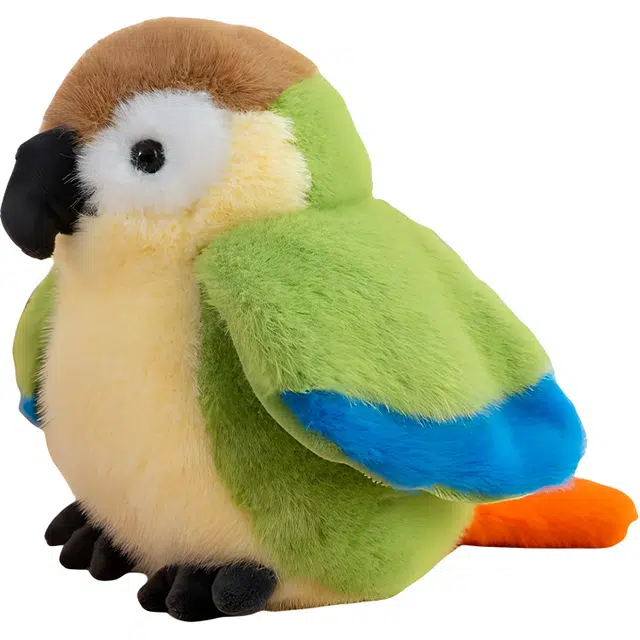 12cm20cm