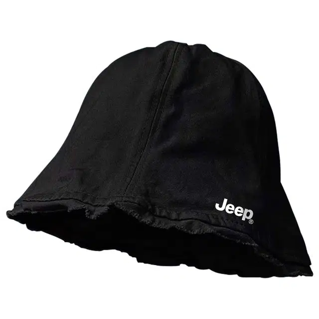 Jeep ins
