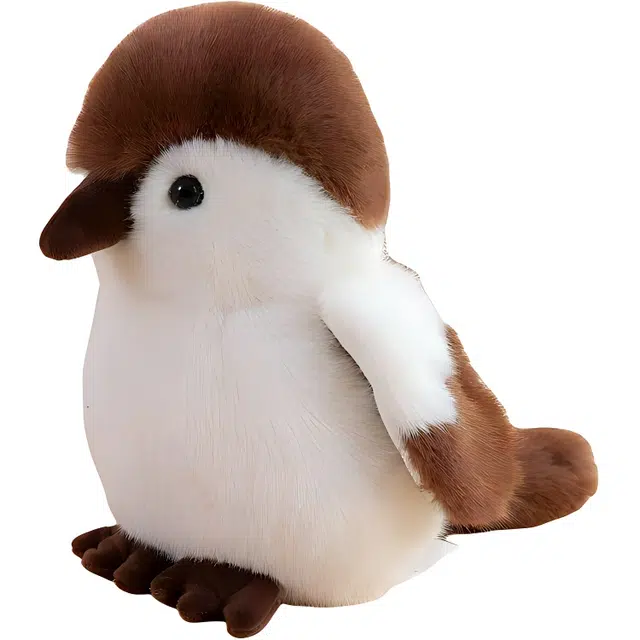 12cm20cm