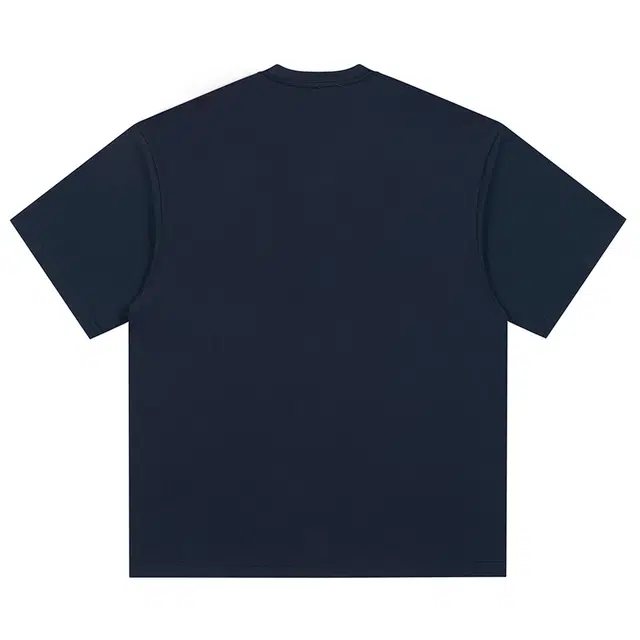 PUNCTILIOUS T