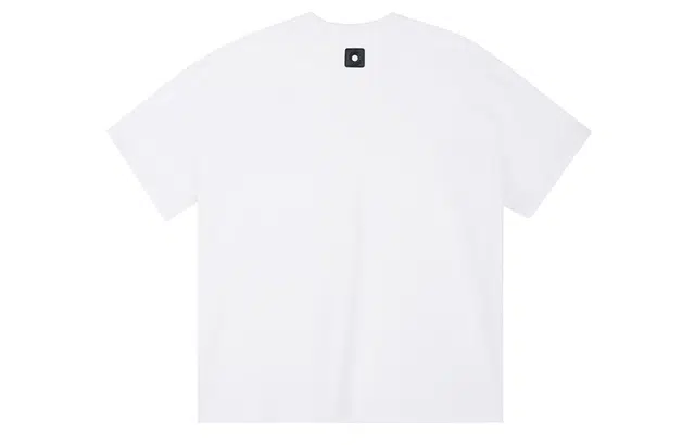 ICONS Lab ICS T