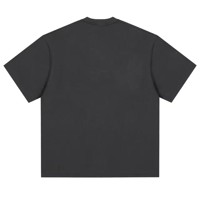 PUNCTILIOUS T