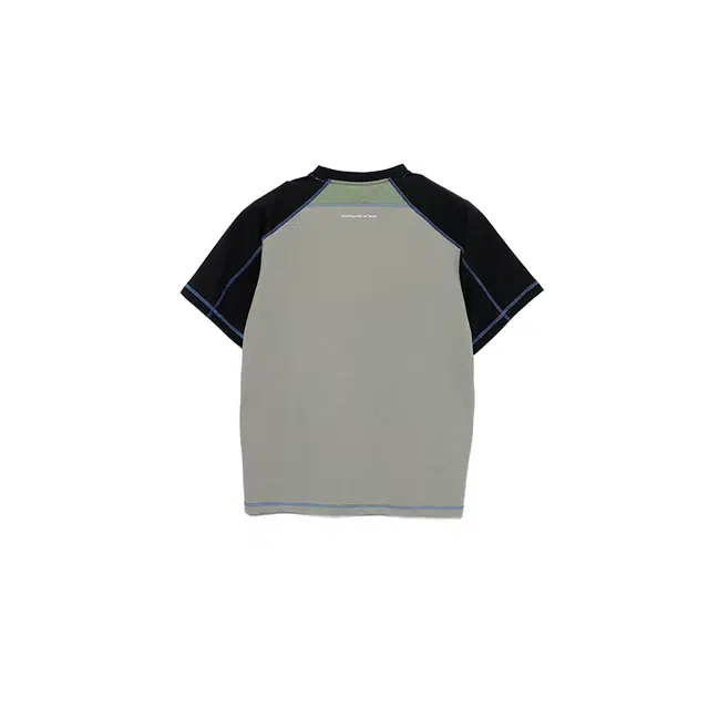 ROARINGWILD T