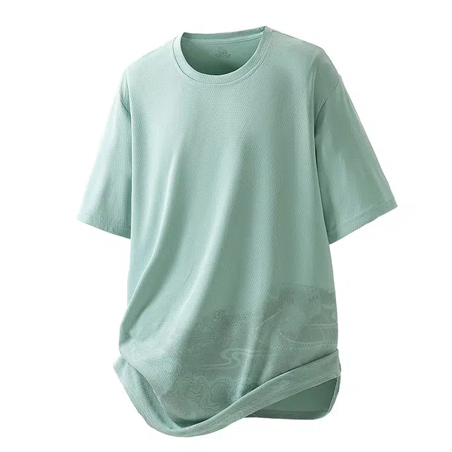 LISENPOK T