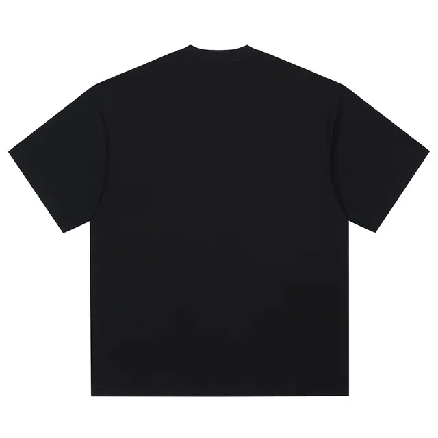 PUNCTILIOUS T