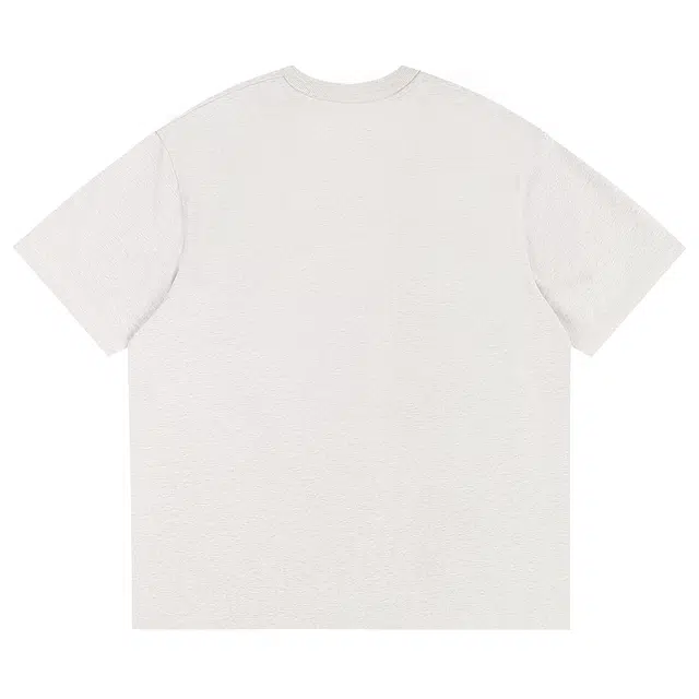 PUNCTILIOUS T