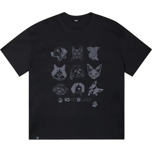 ICONS Lab ICS T