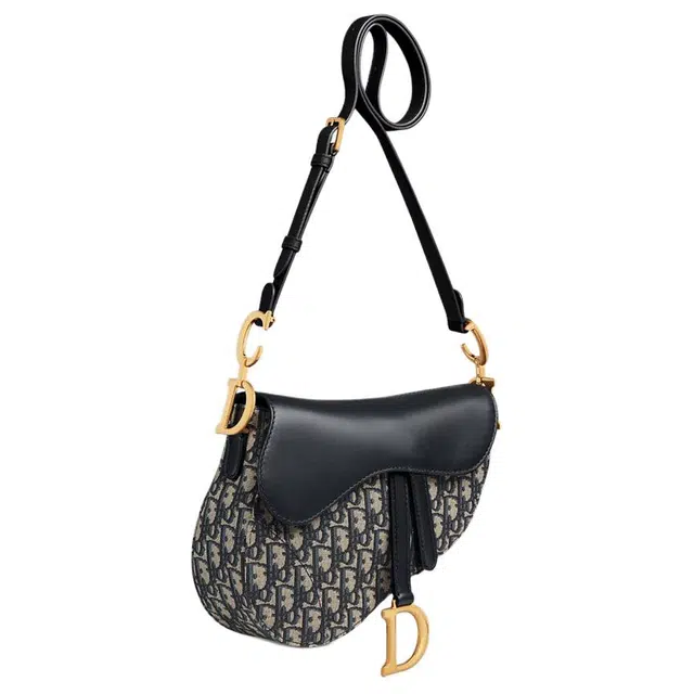 DIOR Soft Saddle Oblique D