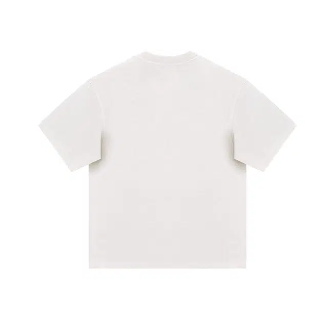 LISENPOK T