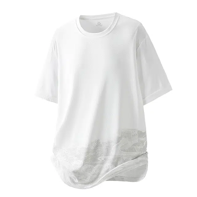 LISENPOK T