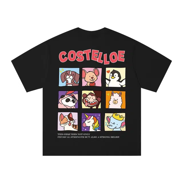 PAUL COSTELLOE T