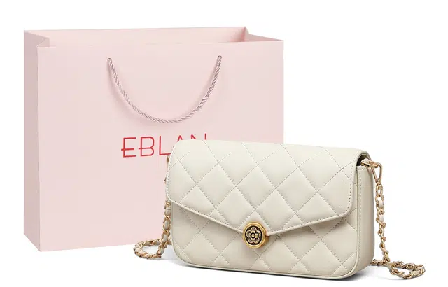 EBLAN ins