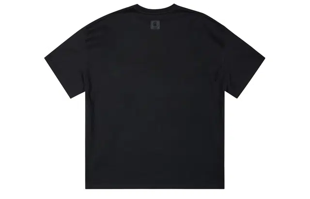 ICONS Lab ICS T