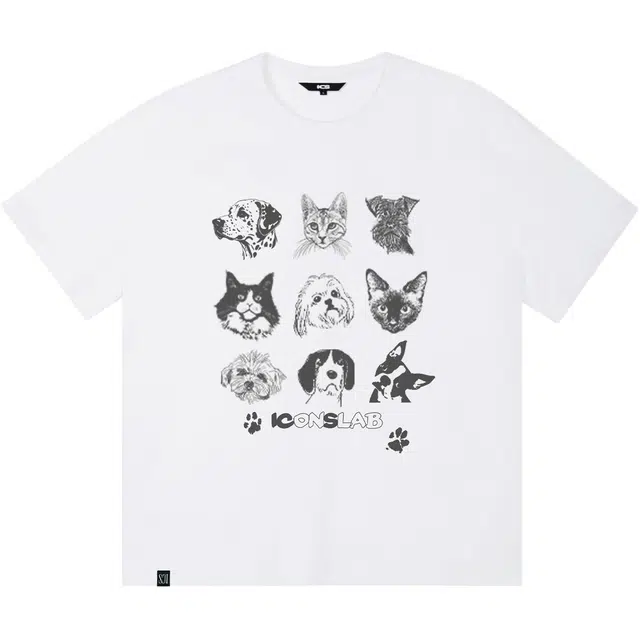 ICONS Lab ICS T