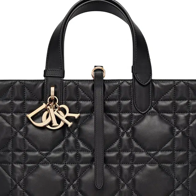 DIOR Toujours