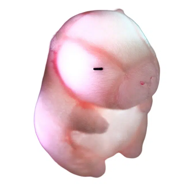 25cm