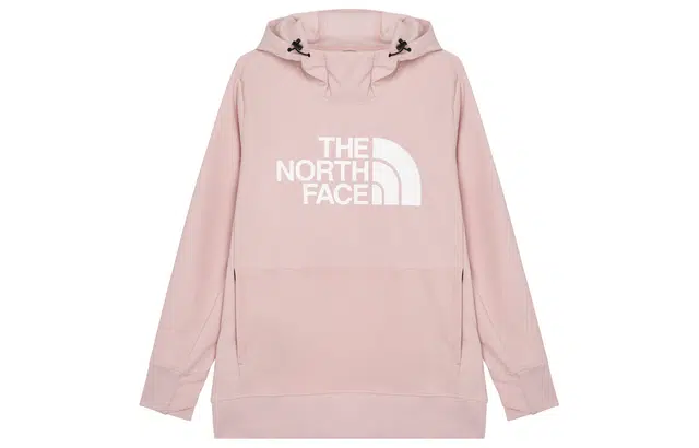 THE NORTH FACE Tekno Pullover Hoodie