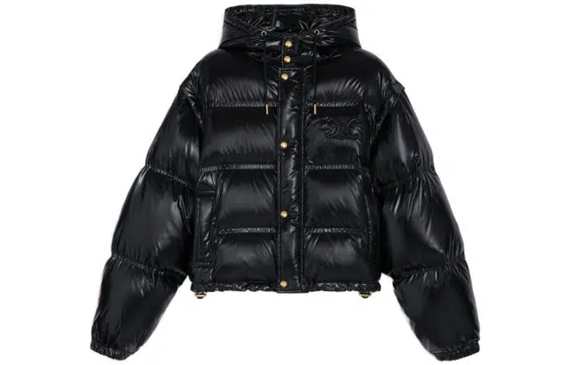 CELINE FW22 Detachable Sleeve Down Jacket Black