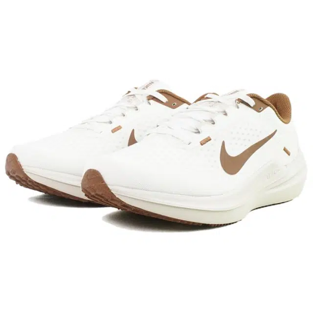 Nike Air Winflo 10