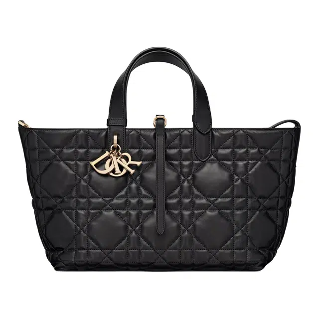 DIOR Toujours