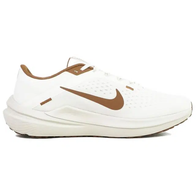Nike Air Winflo 10