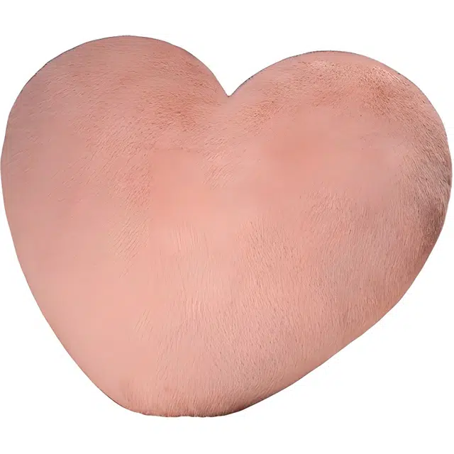 11cm40cm50cm