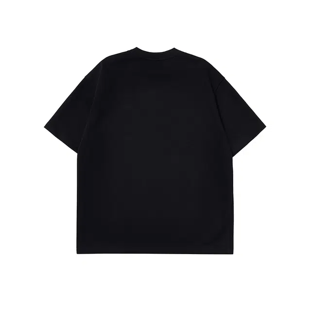 PUNCTILIOUS T