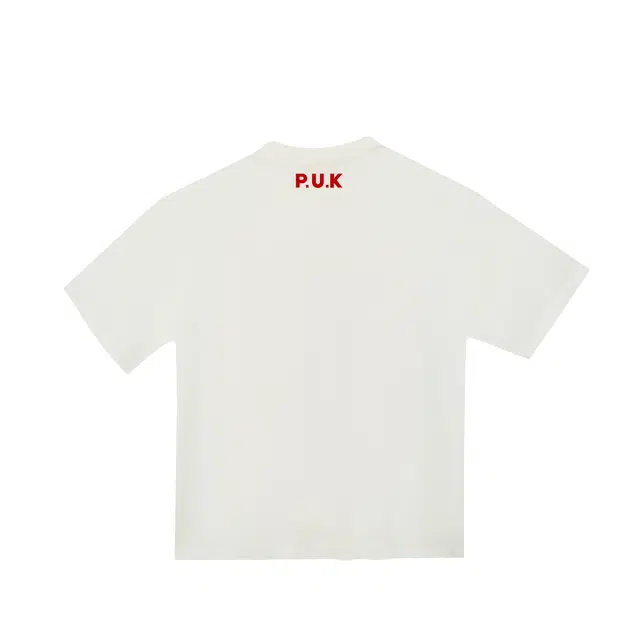 PUK T