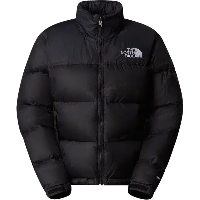The North Face 1996 Retro Nuptse
