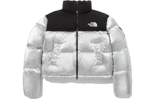 The North Face Novelty Nuptse Down Jacket Silver
